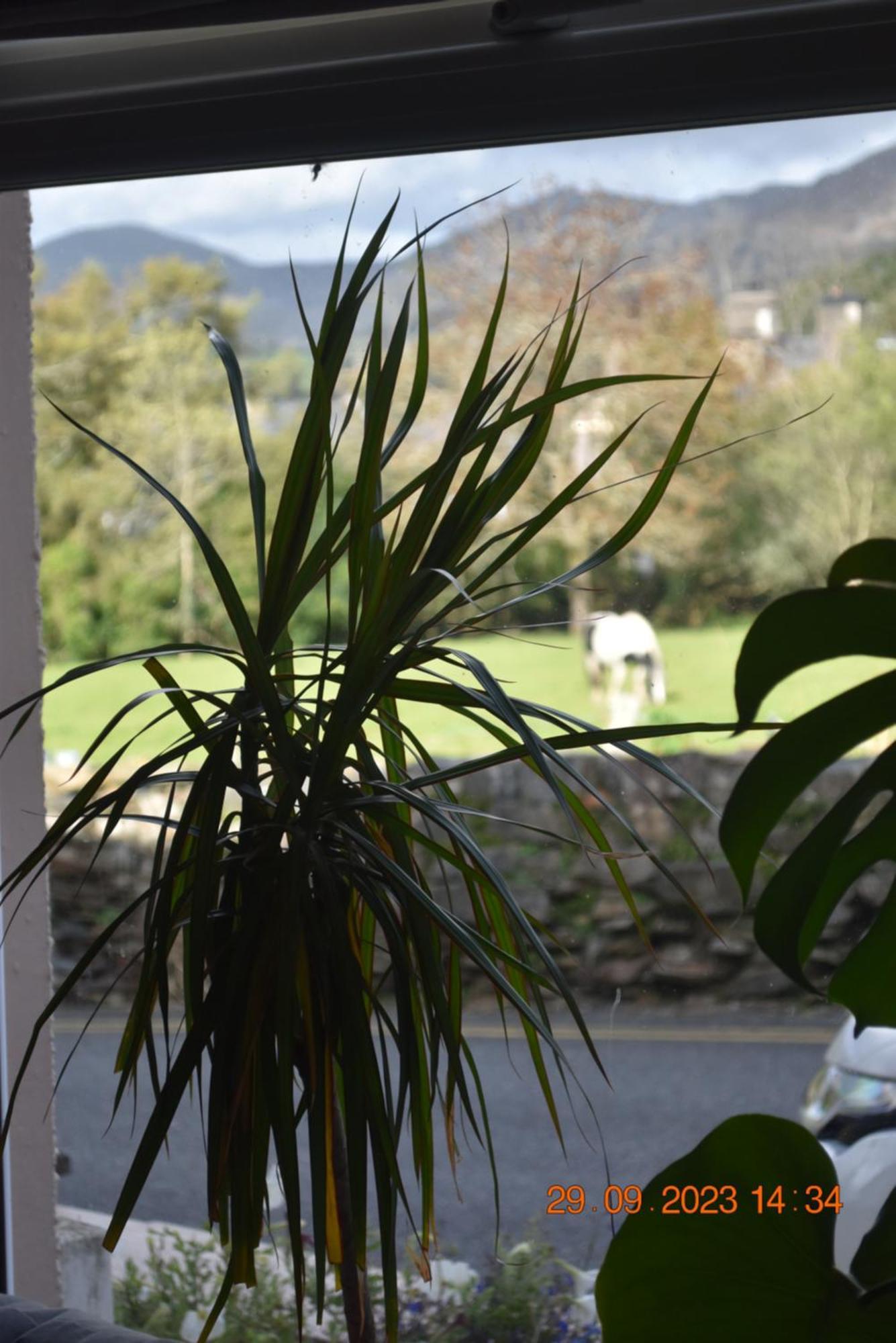 Ty Alban Villa Ffestiniog Buitenkant foto